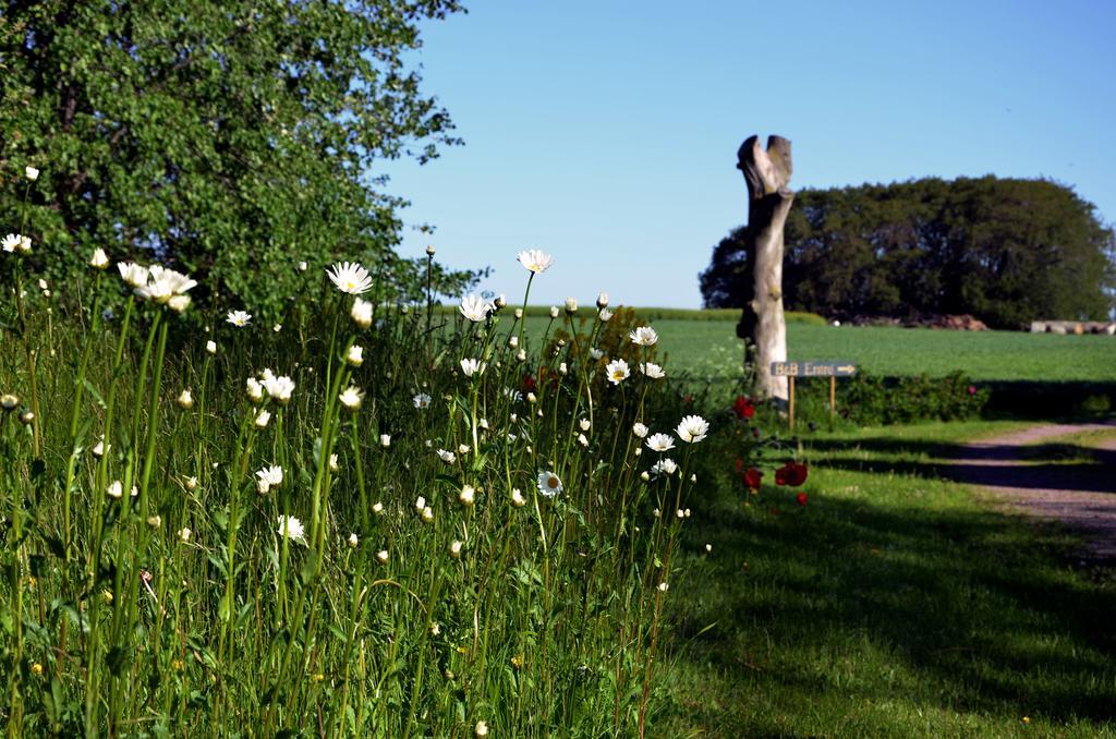 Bed and Breakfast Torsborgs Gard à Simrishamn Chambre photo